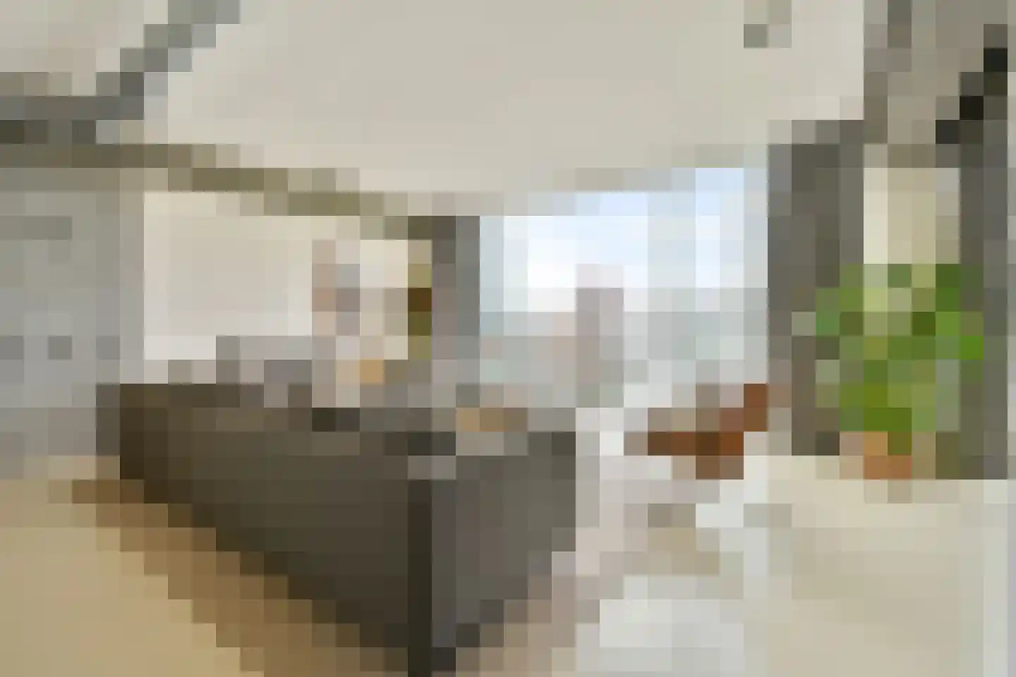 Schiehavenkade 424 Rotterdam thumbnail 4