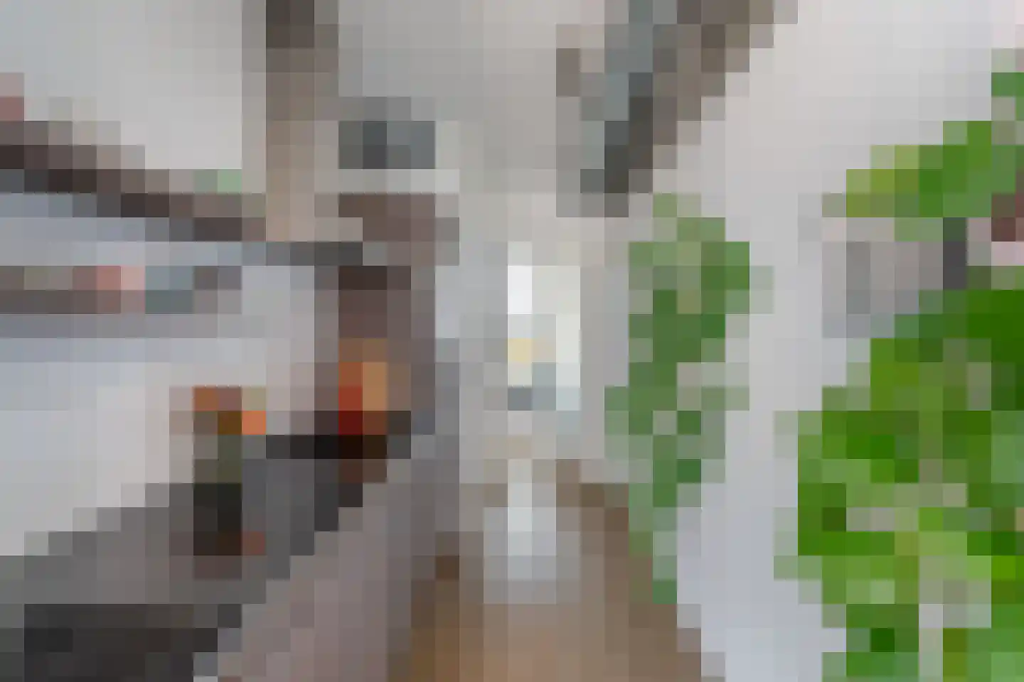 Schiehavenkade 460 Rotterdam thumbnail 14