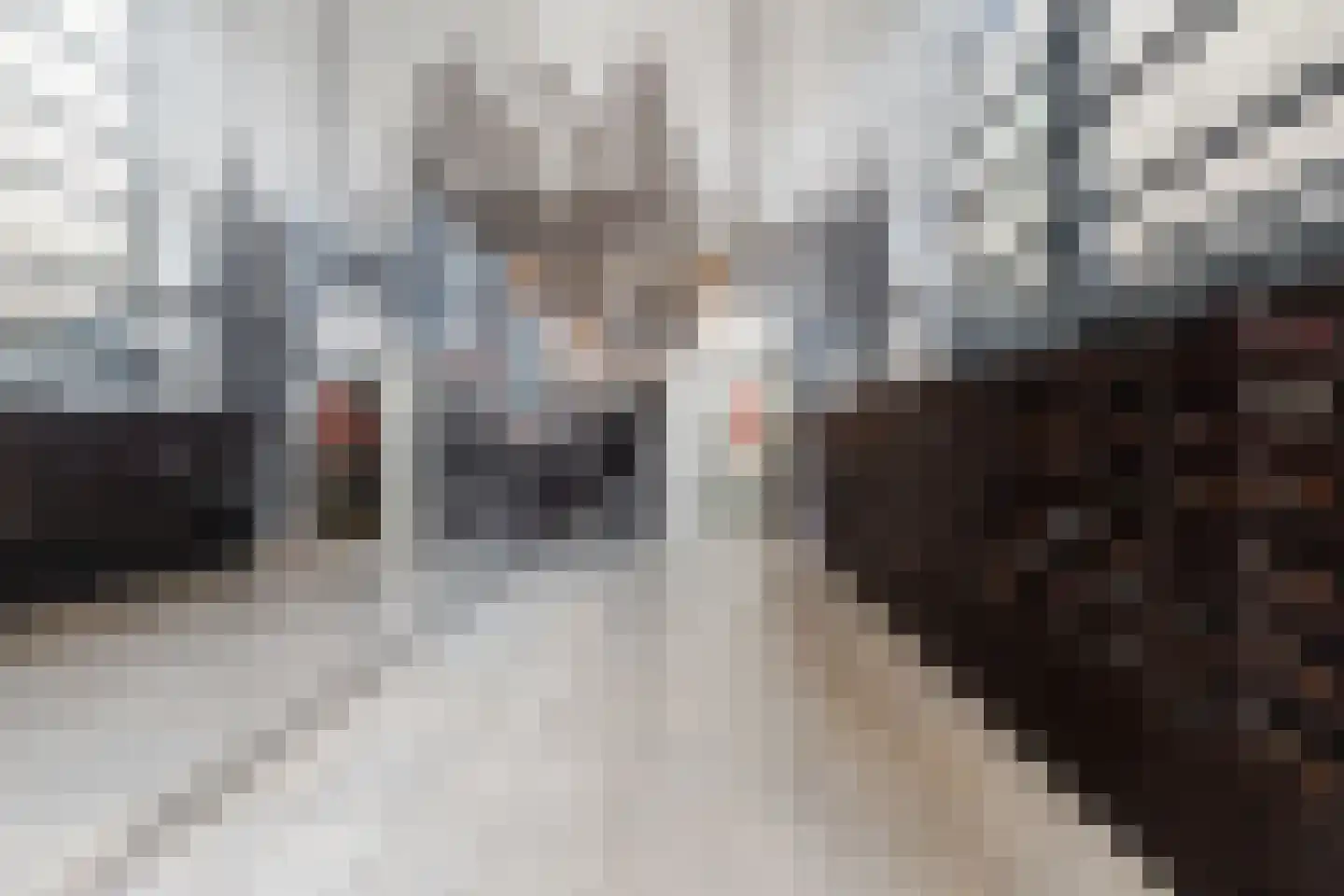 Schiehavenkade 460 Rotterdam thumbnail 31