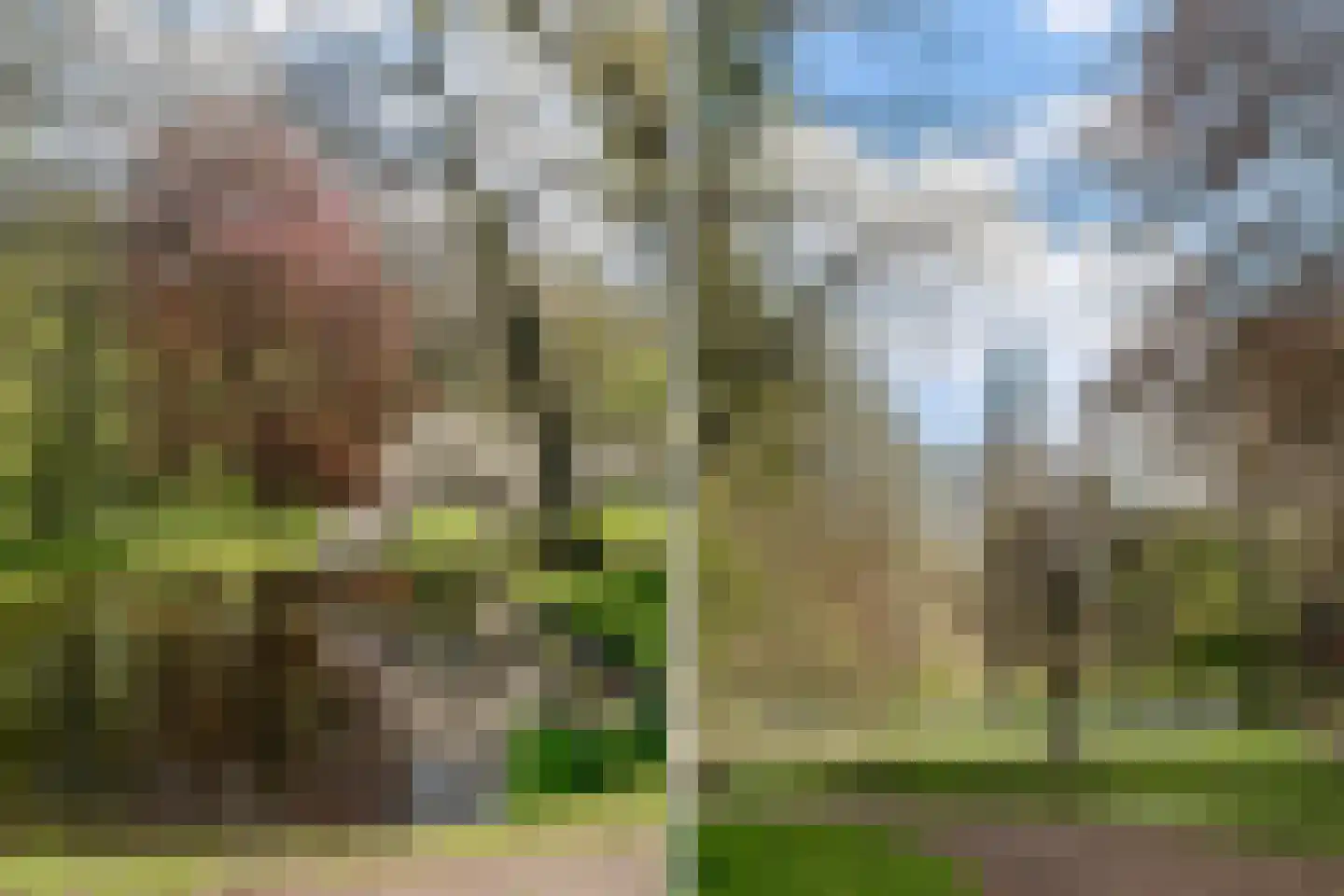 Schiehavenkade 460 Rotterdam thumbnail 37