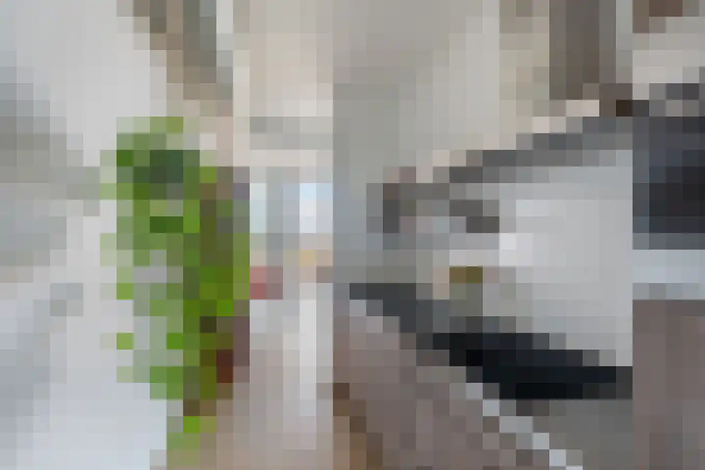 Schiehavenkade 460 Rotterdam thumbnail 5