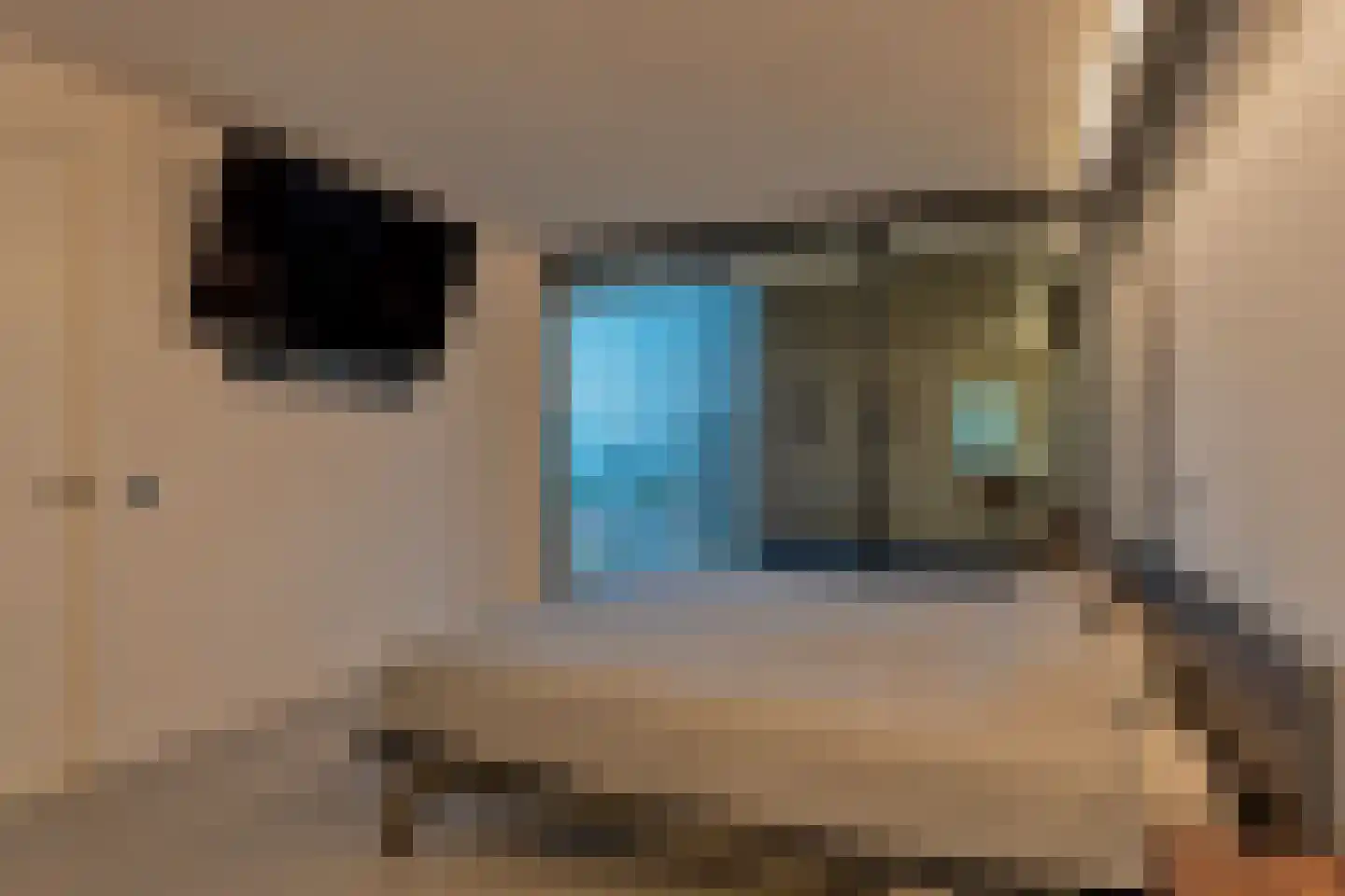 Schiehavenkade 490 Rotterdam thumbnail 42