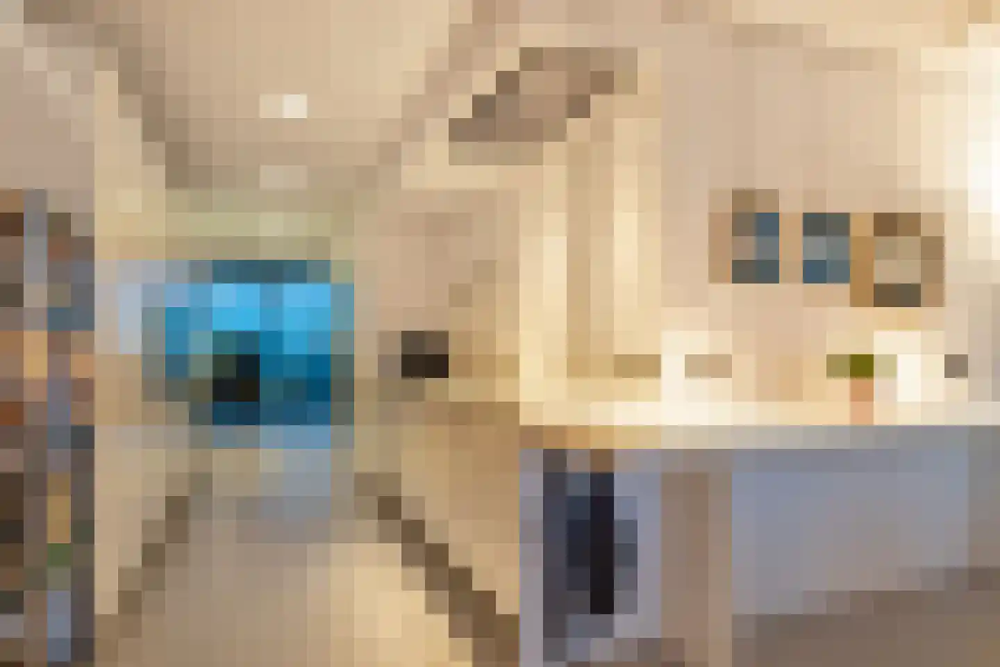 Schiehavenkade 490 Rotterdam thumbnail 8