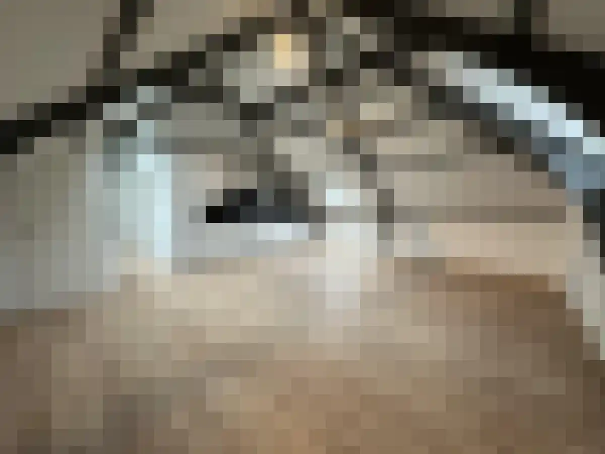 Schiekade 111 Rotterdam thumbnail 6