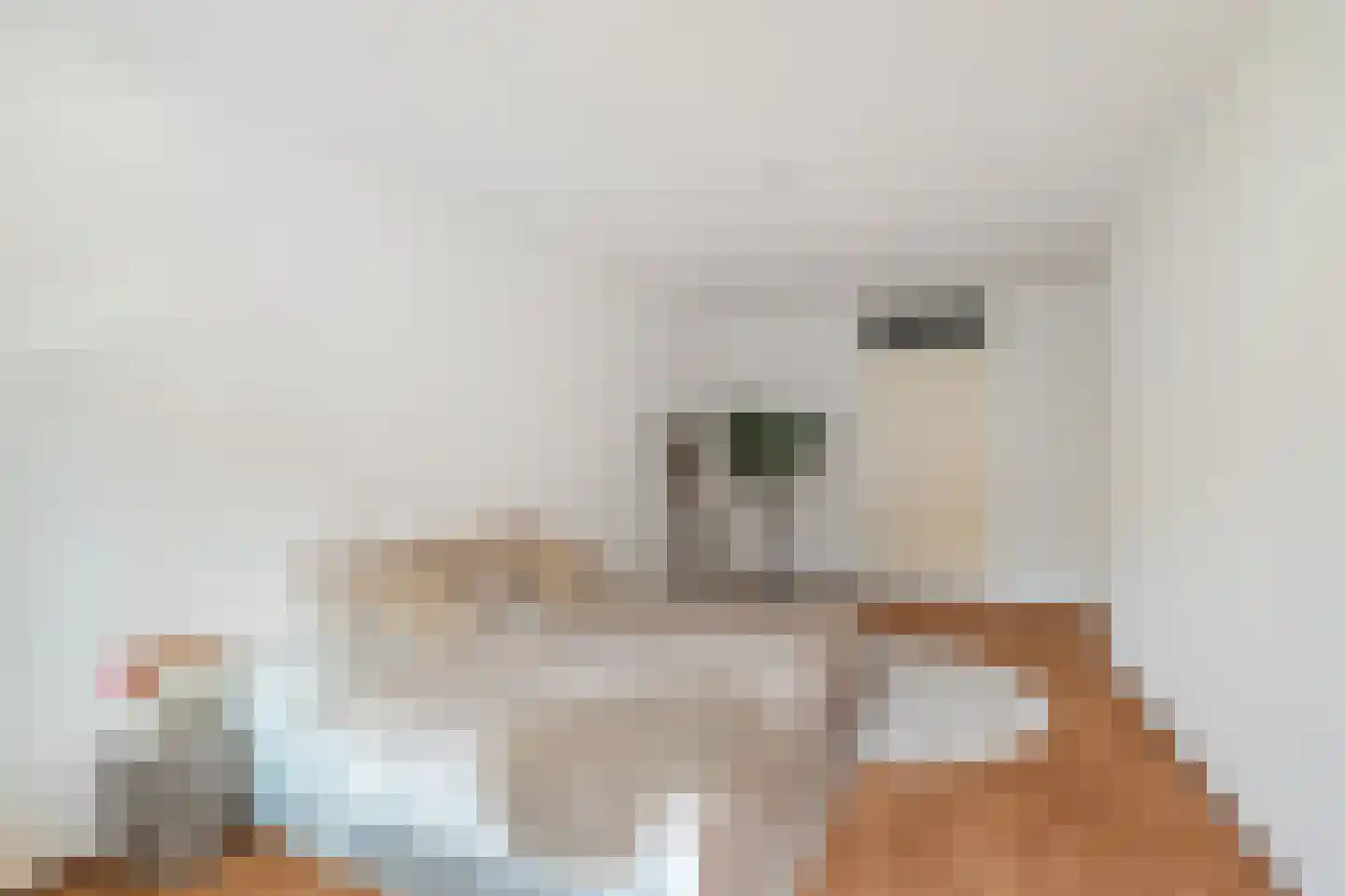 Schiekade 121 F Rotterdam thumbnail 7
