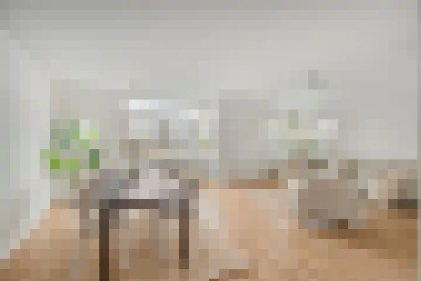 Schiekade 127 C Rotterdam thumbnail 4