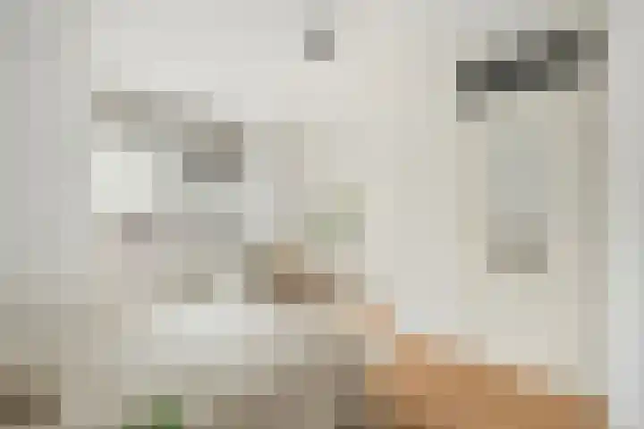Schiekade 127 D Rotterdam thumbnail 10