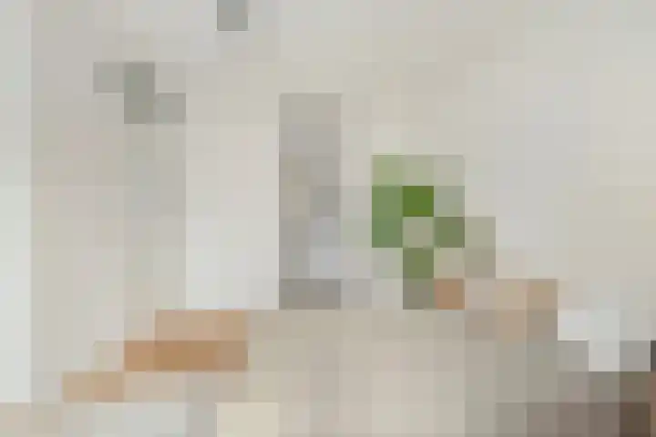 Schiekade 127 D Rotterdam thumbnail 9