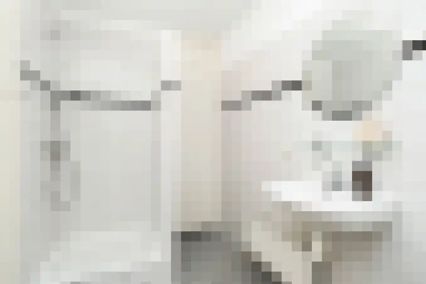 Schiekade 127 F Rotterdam thumbnail 13