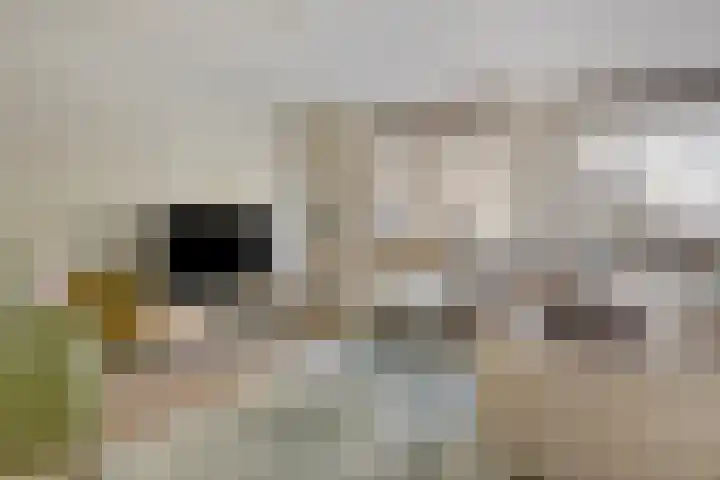 Schiekade 17 D Rotterdam thumbnail 11