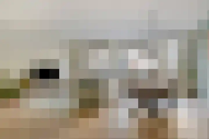 Schiekade 17 D Rotterdam thumbnail 12