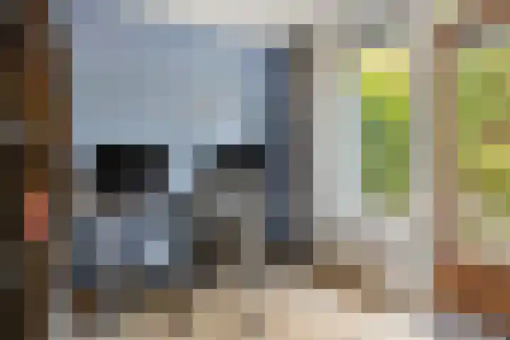 Schiekade 17 D Rotterdam thumbnail 21
