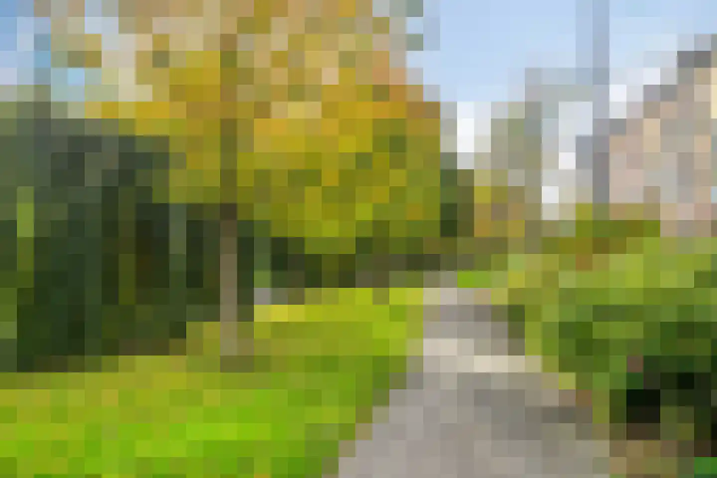 Schiekade 19 A Rotterdam thumbnail 27