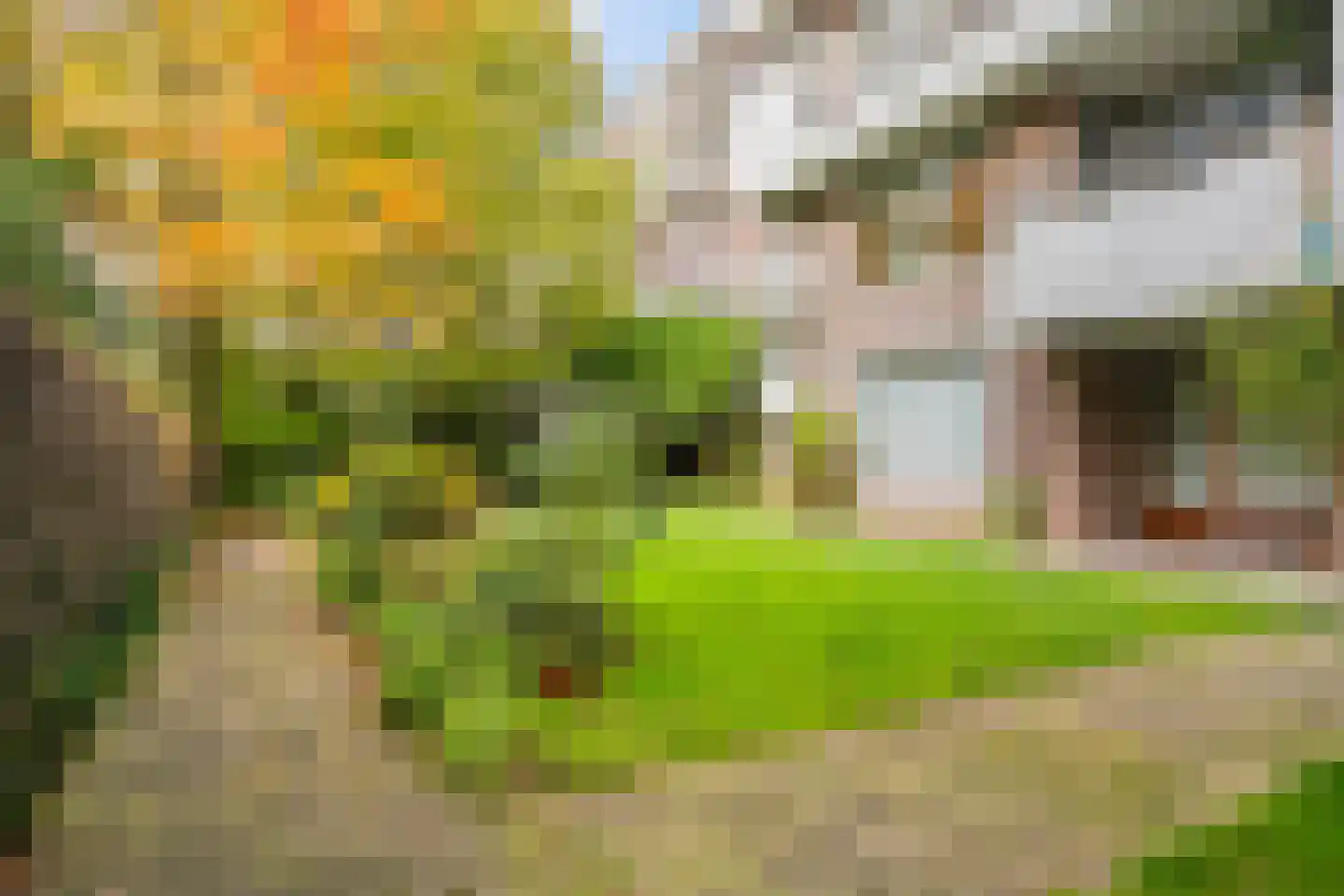 Schiekade 19 D Rotterdam thumbnail 20