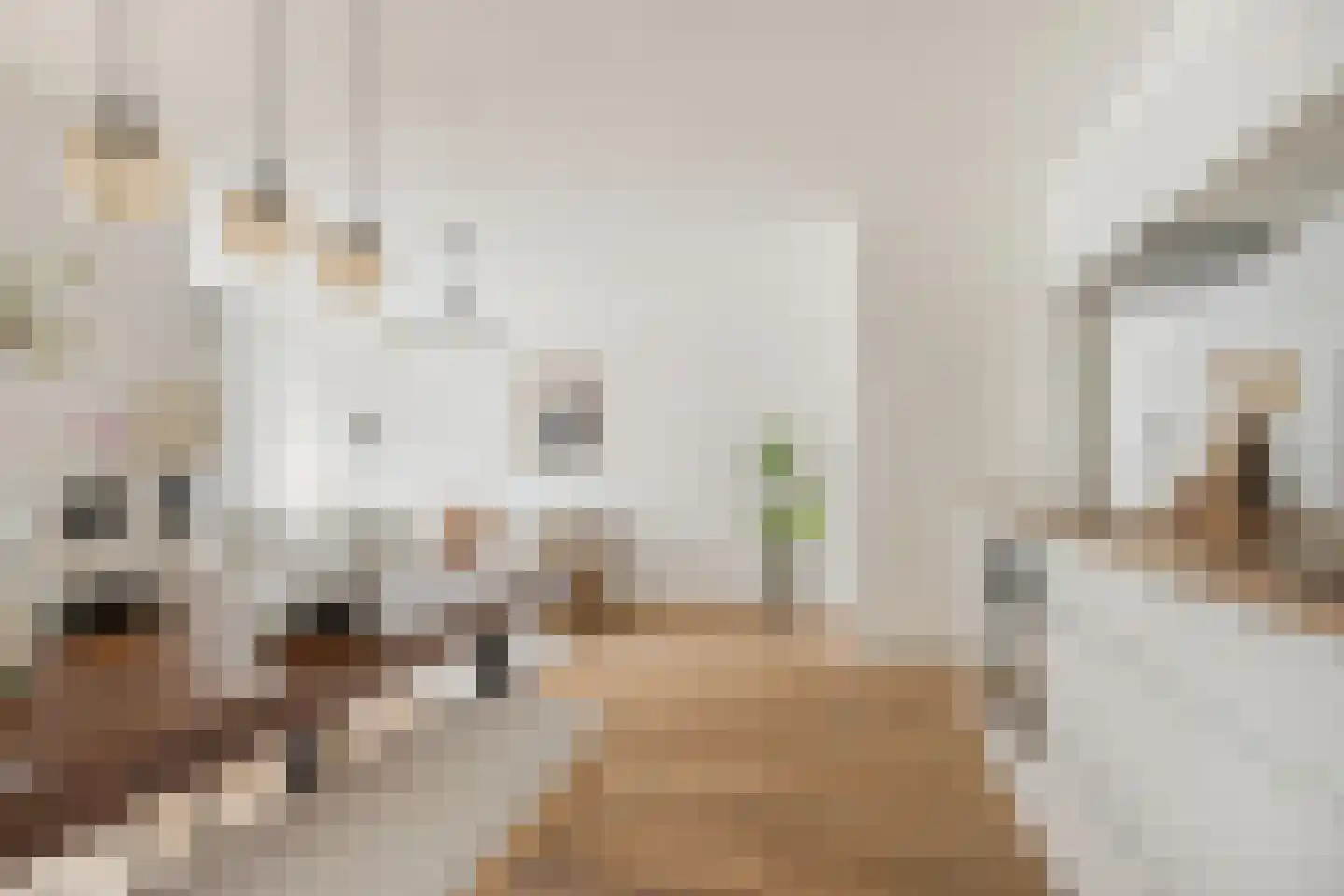 Schiekade 21 B Rotterdam thumbnail 10