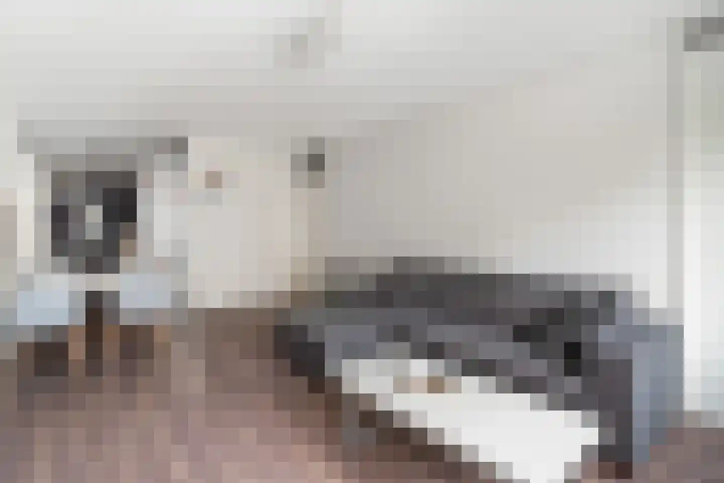 Schiekade 21 B Rotterdam thumbnail 11