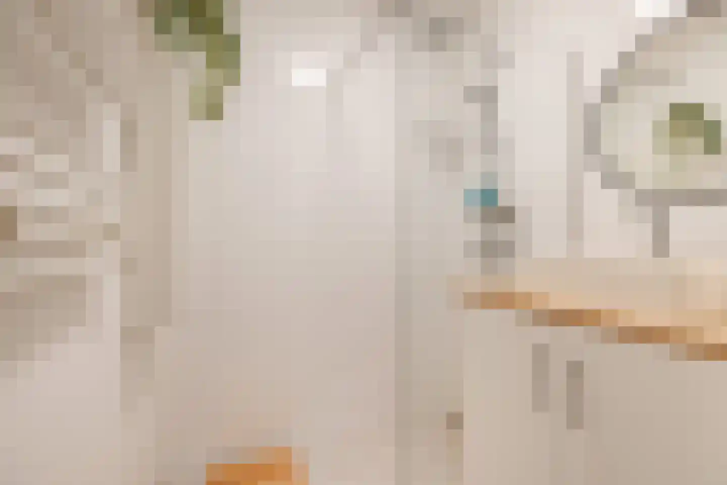 Schiekade 21 B Rotterdam thumbnail 19
