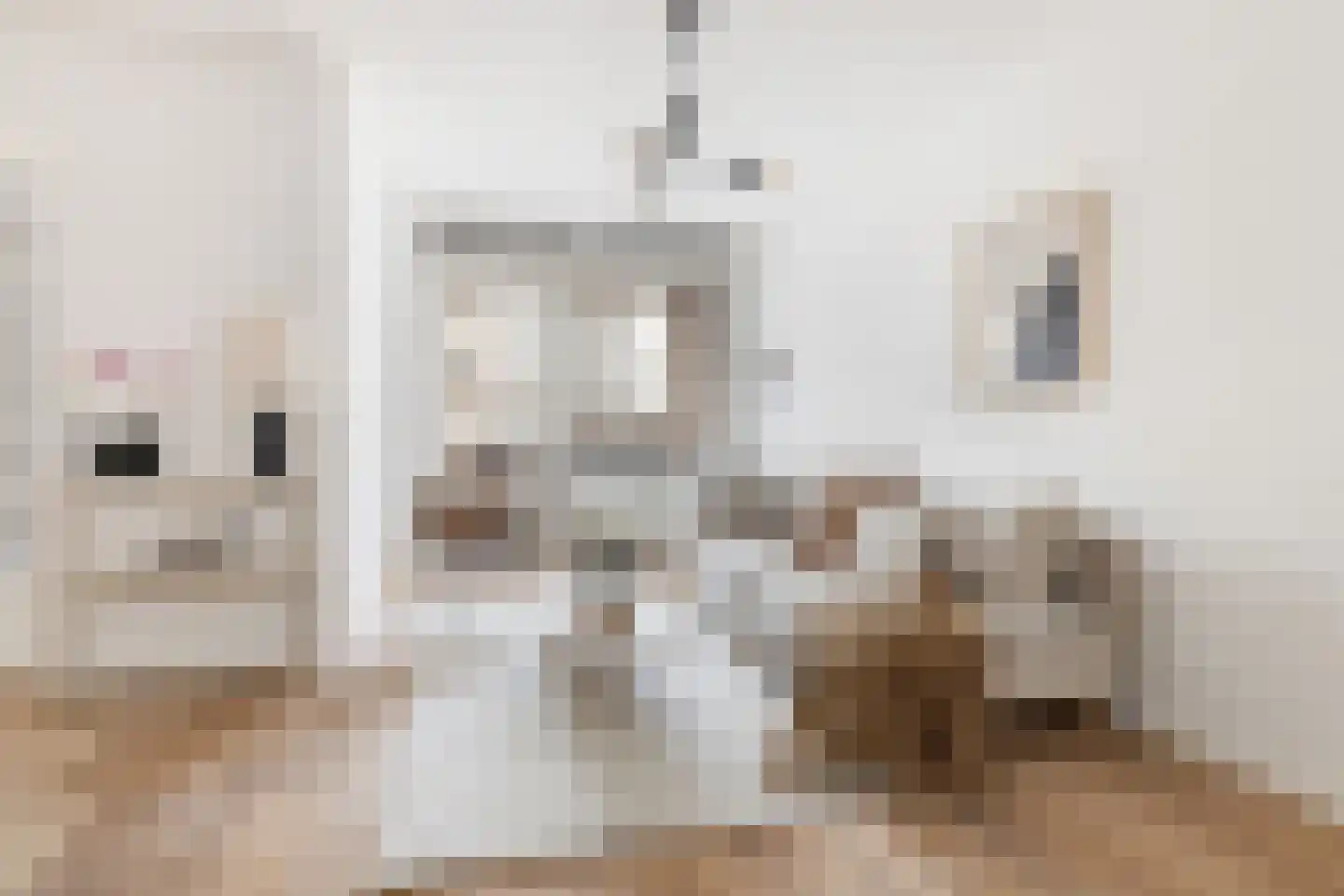 Schiekade 21 B Rotterdam thumbnail 4