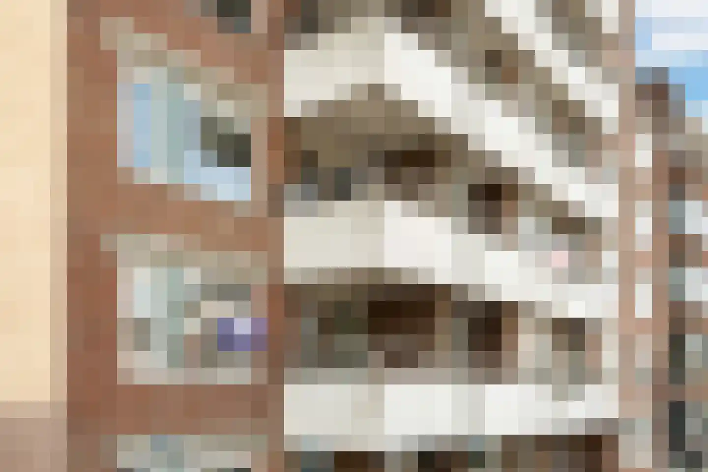 Schiekade 21 B Rotterdam thumbnail 41