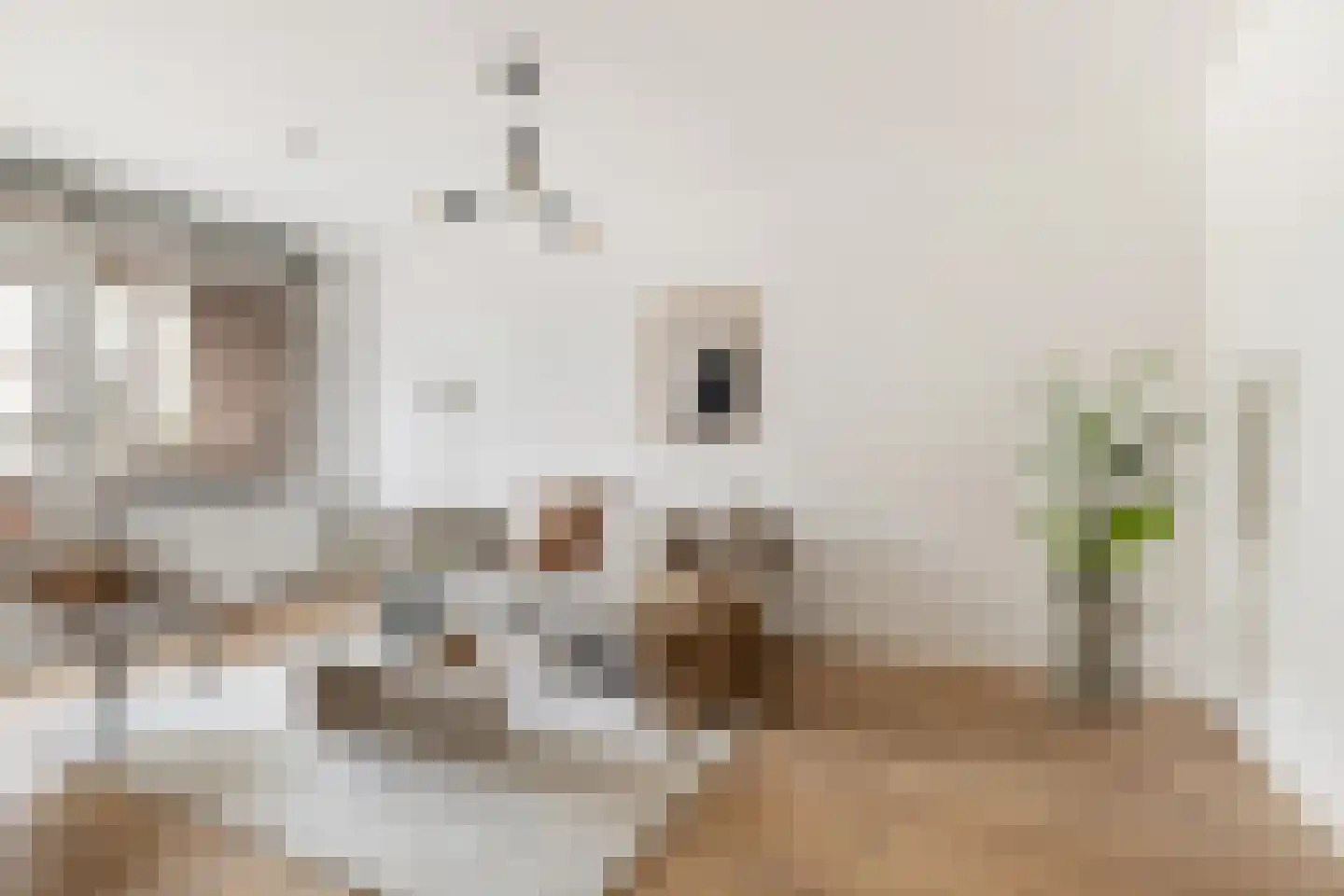 Schiekade 21 B Rotterdam thumbnail 5