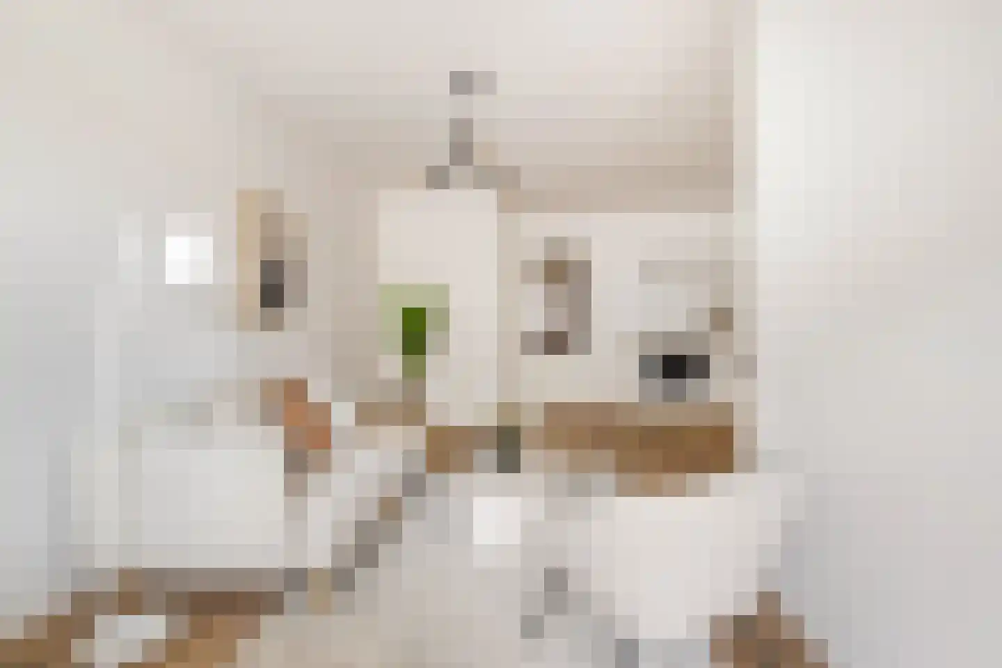 Schiekade 21 B Rotterdam thumbnail 7