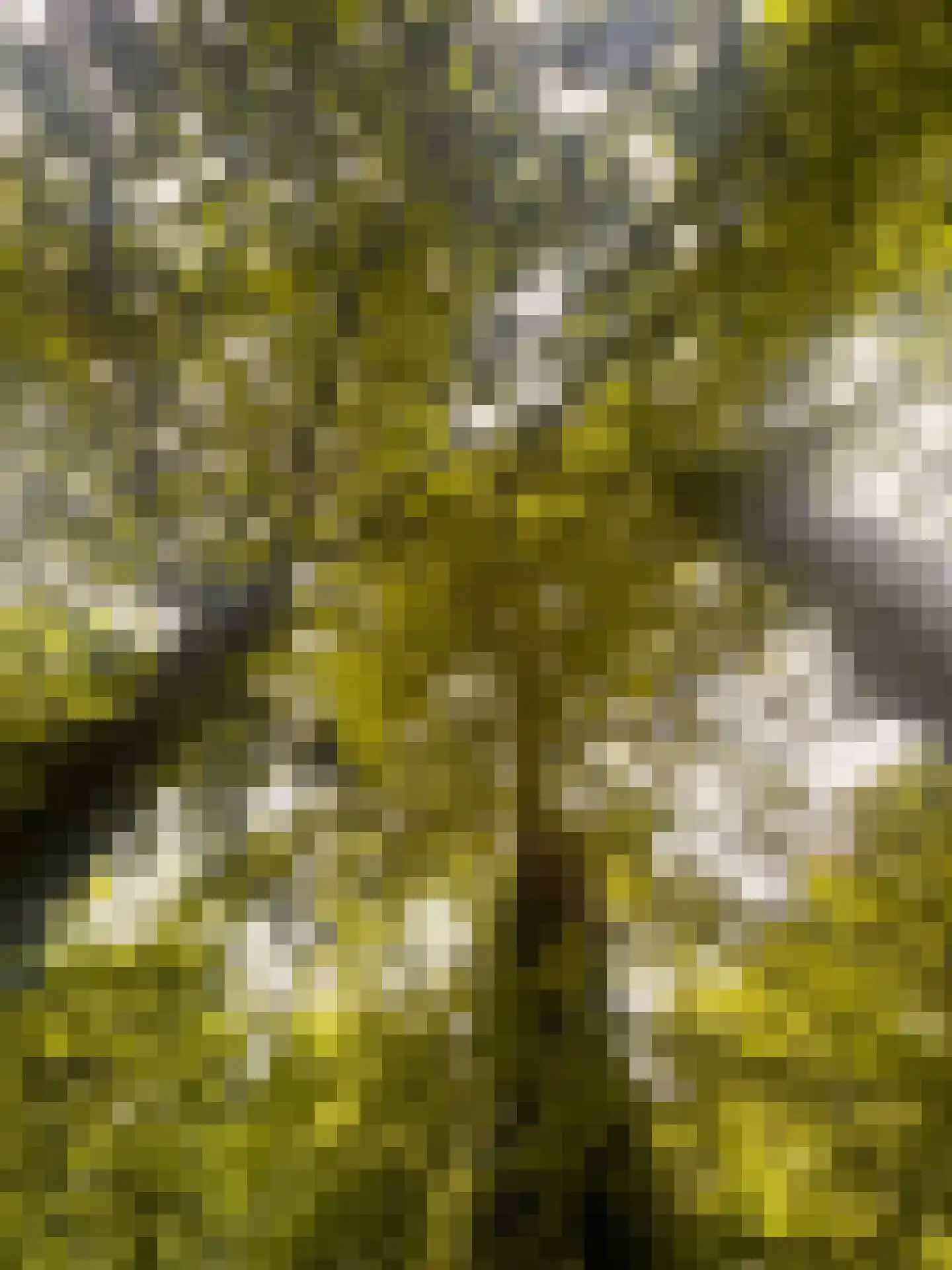 Schiekade 25 C Rotterdam thumbnail 32