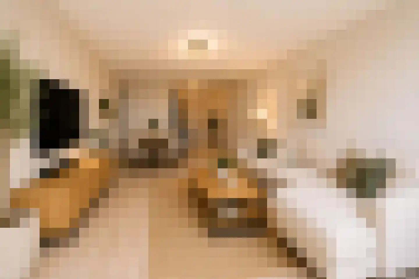 Schiekade 25 C Rotterdam thumbnail 9
