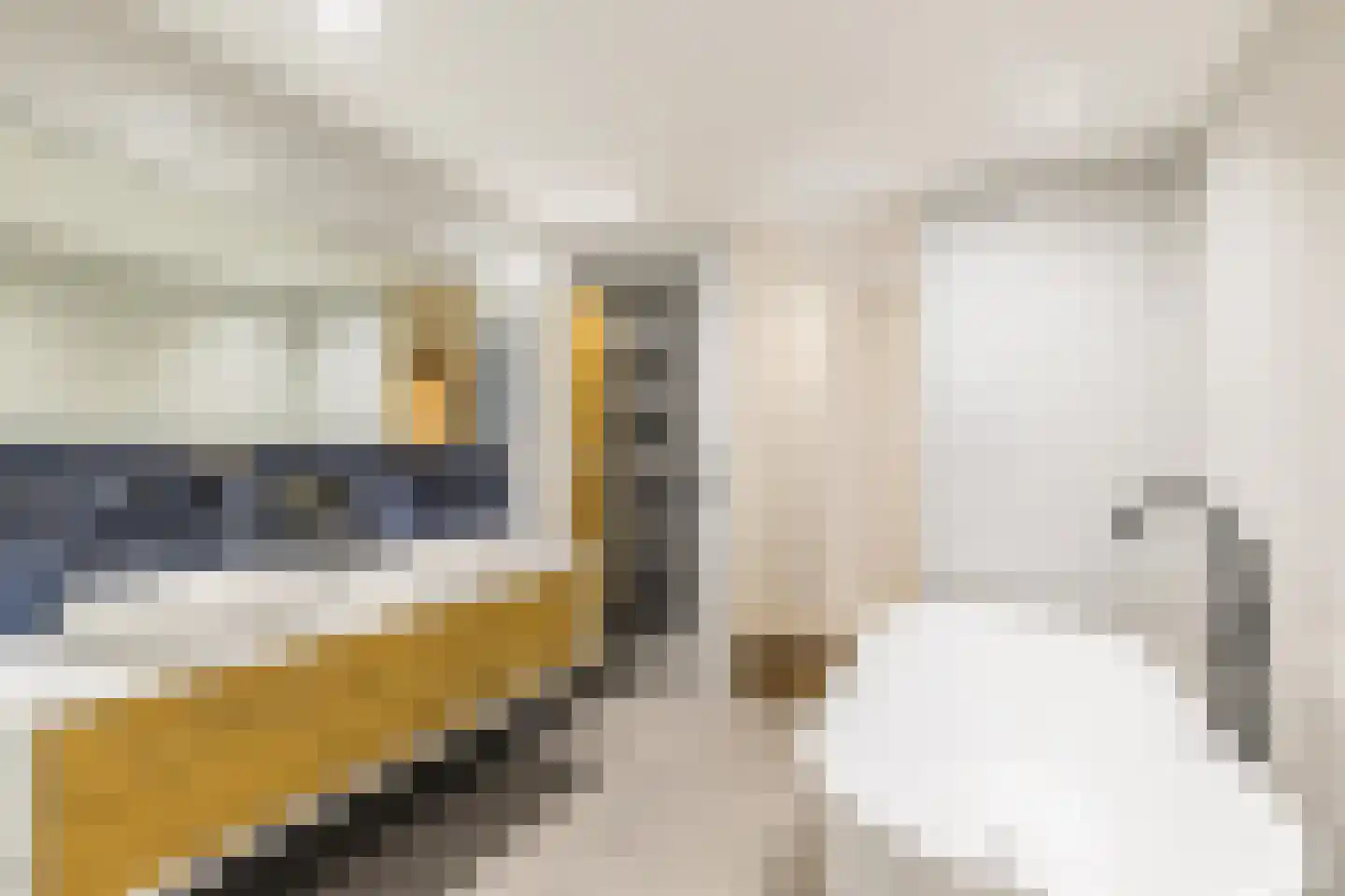 Schiekade 27 C Rotterdam foto 2