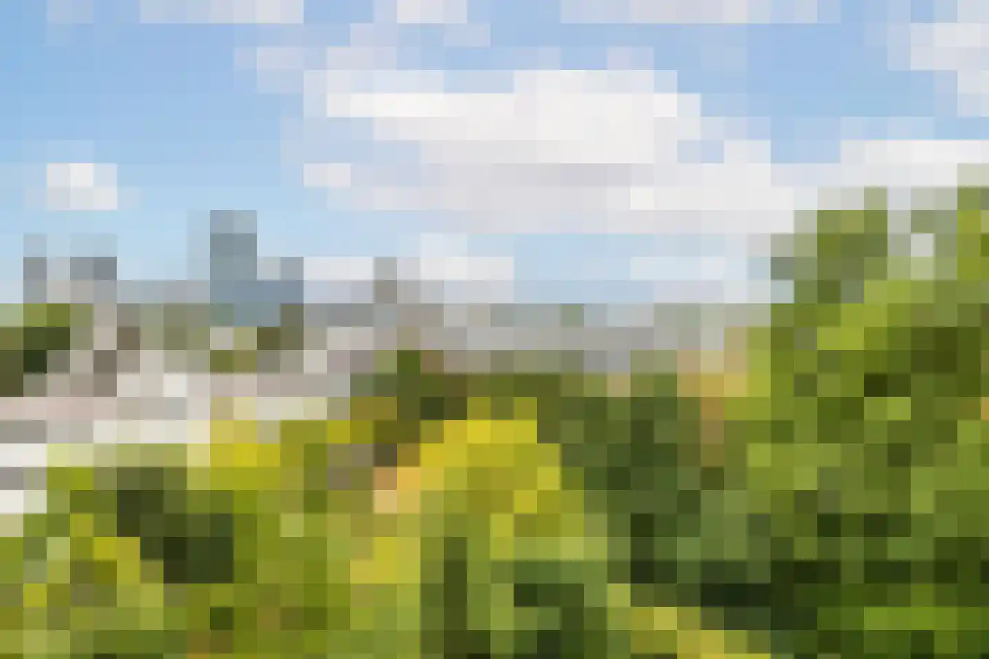 Schiekade 27 C Rotterdam thumbnail 93