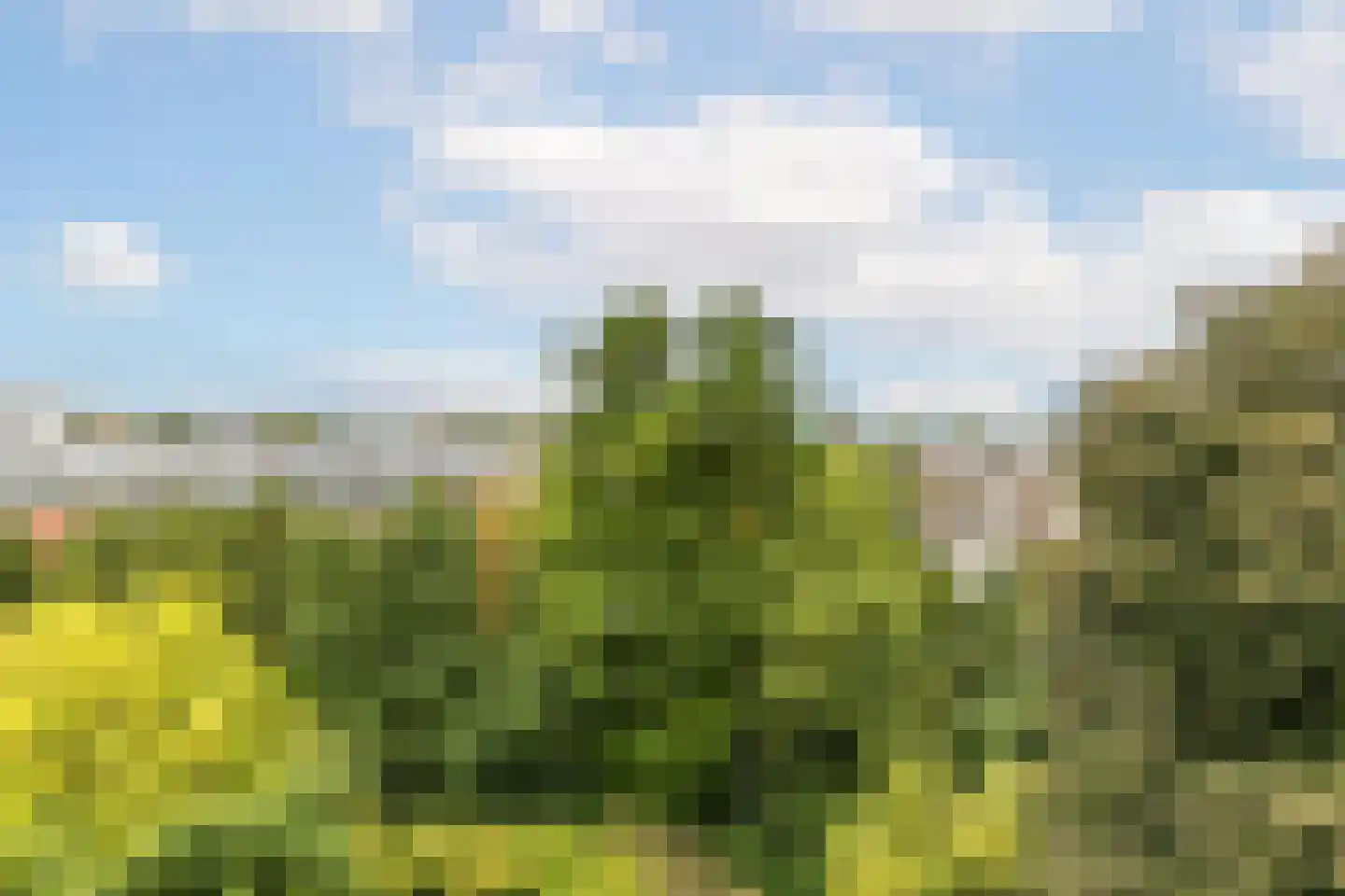 Schiekade 27 D Rotterdam thumbnail 7