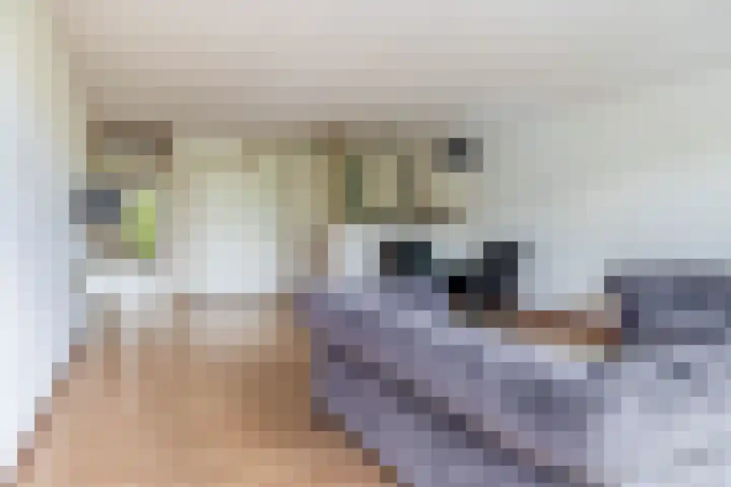 Schiekade 420 Rotterdam thumbnail 18