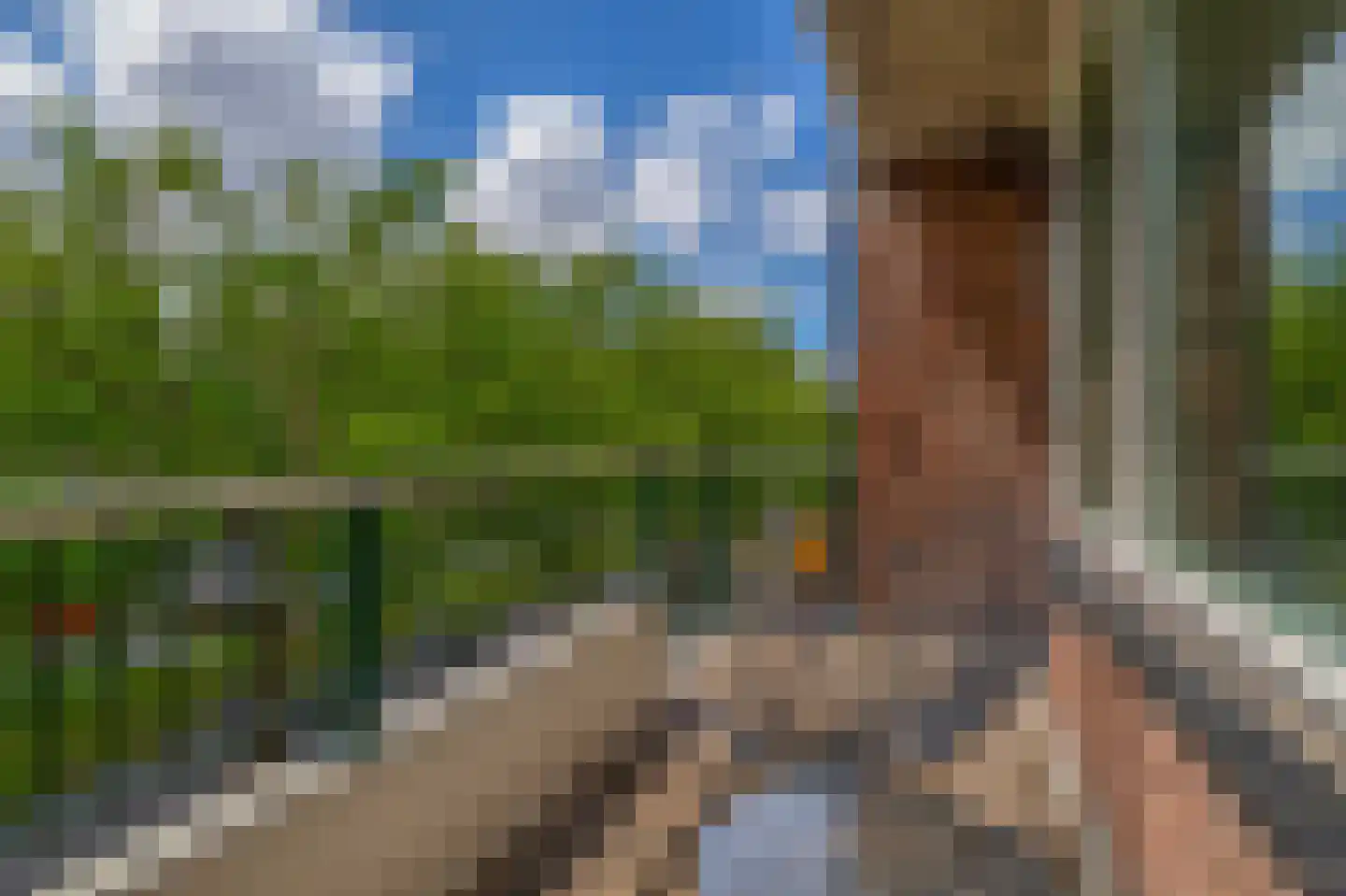 Schiekade 420 Rotterdam thumbnail 33