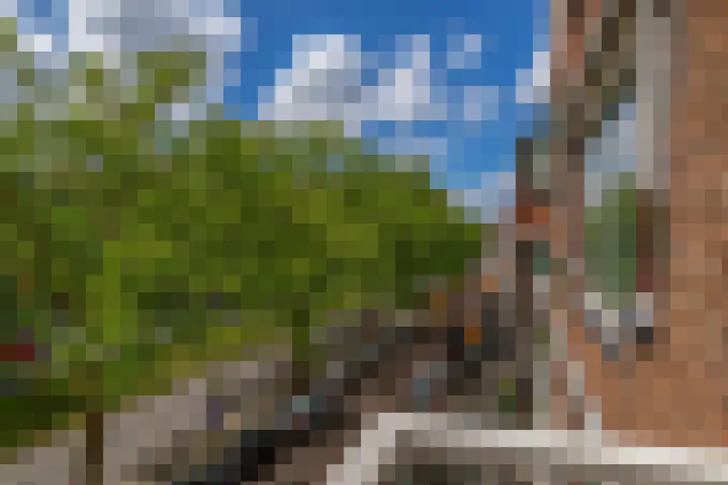 Schiekade 420 Rotterdam thumbnail 34
