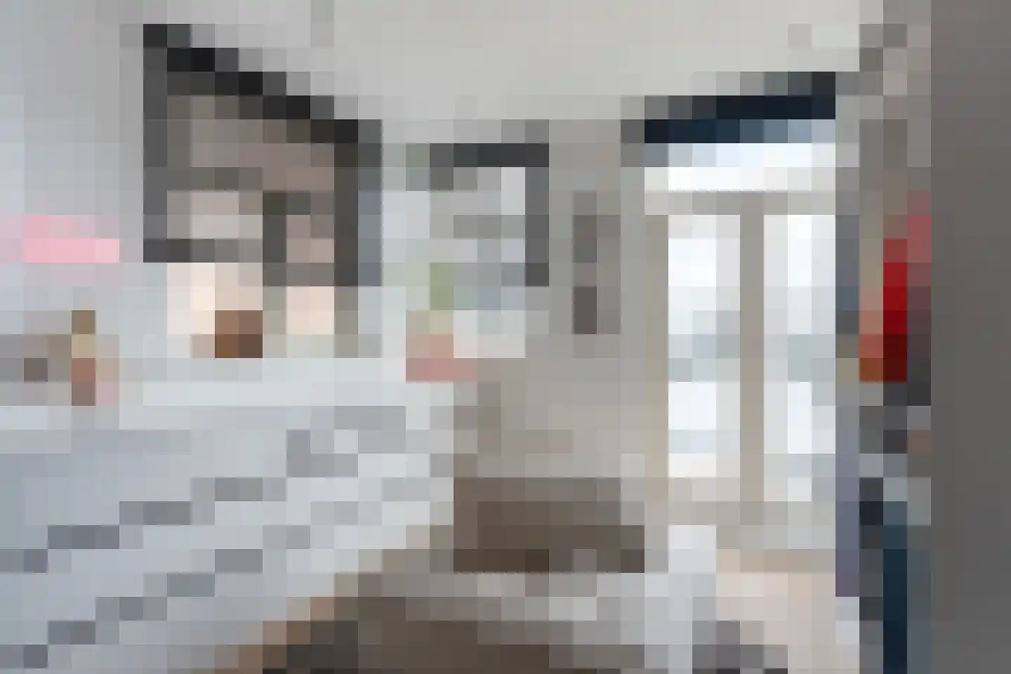 Schiekade 44 B Rotterdam thumbnail 19