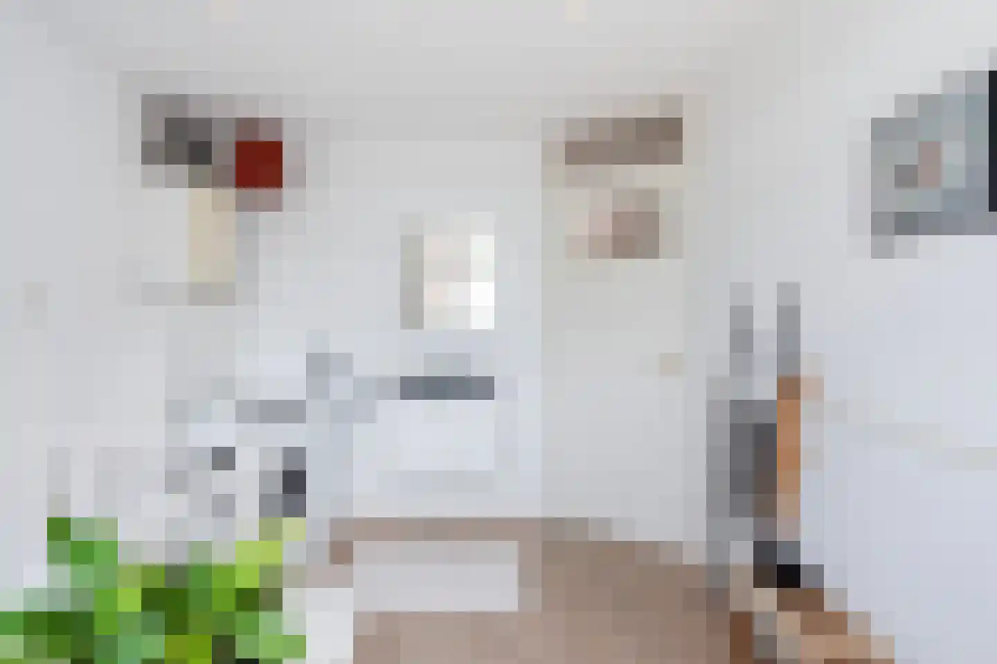 Schiekade 44 B Rotterdam thumbnail 27
