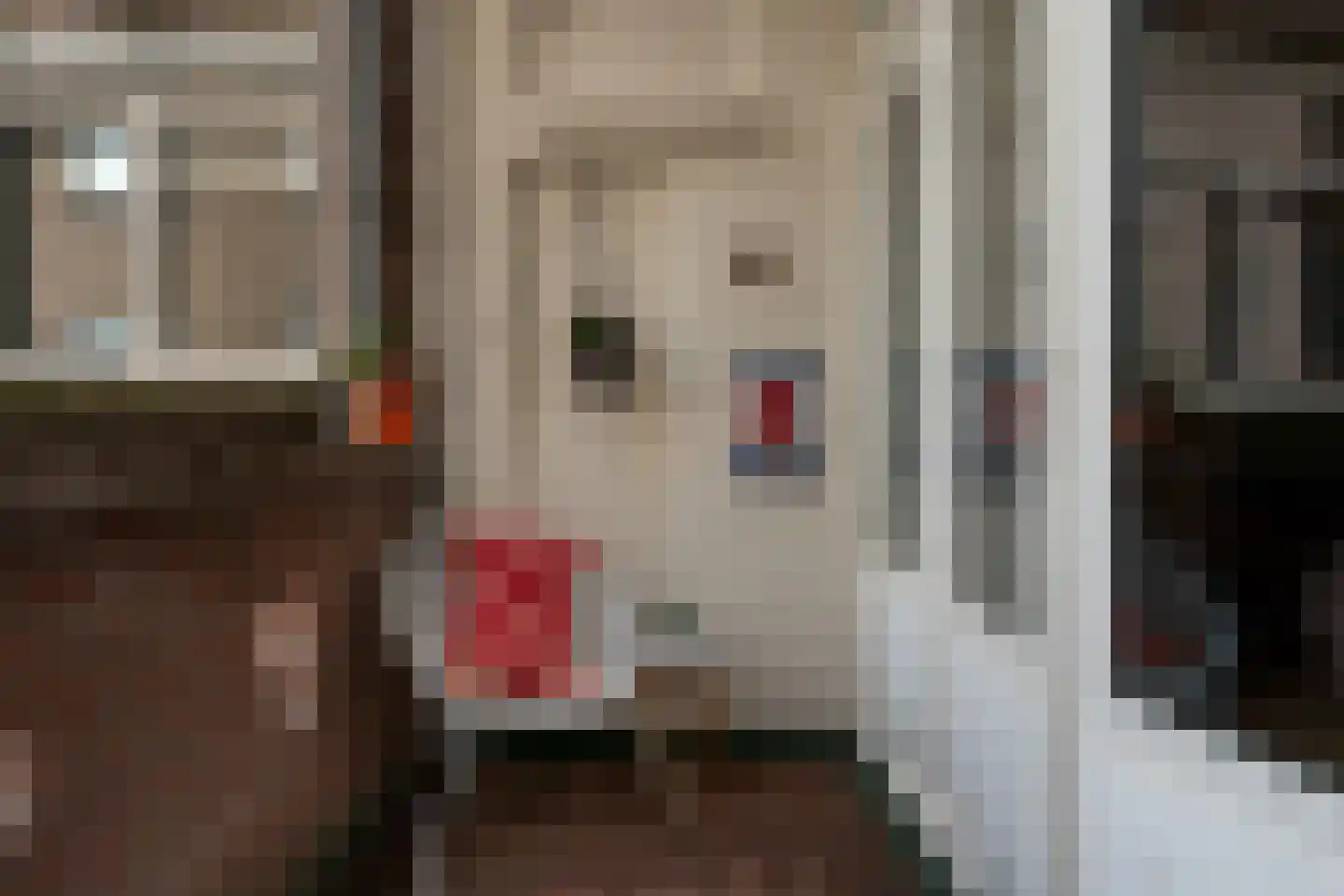 Schiekade 44 C 03 Rotterdam thumbnail 10