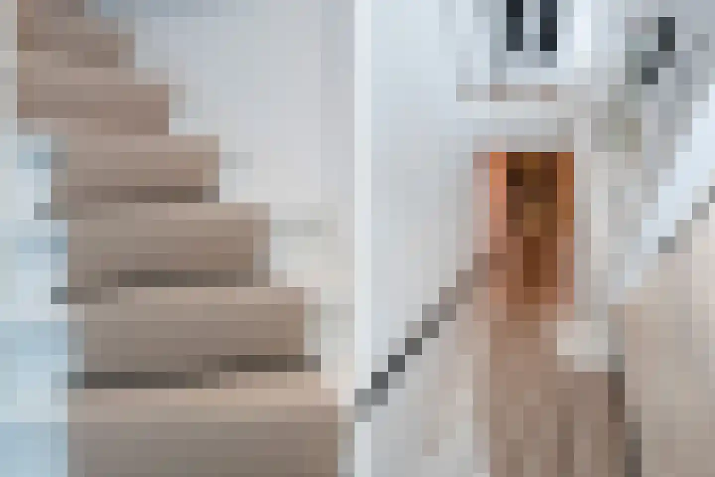 Schiekade 44 C 03 Rotterdam thumbnail 26