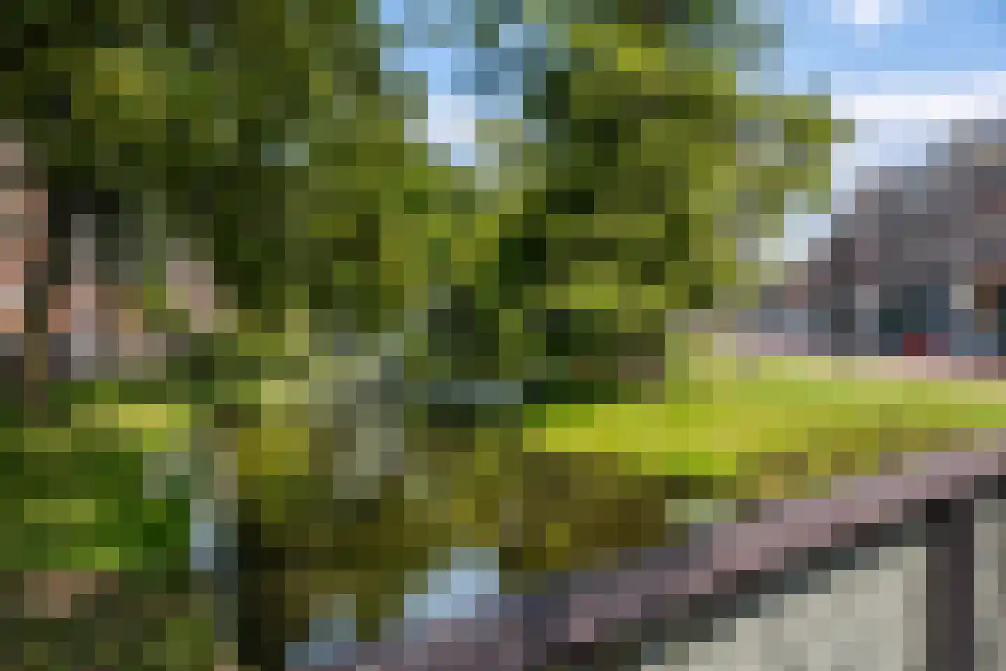 Schiekade 44 C 03 Rotterdam thumbnail 50