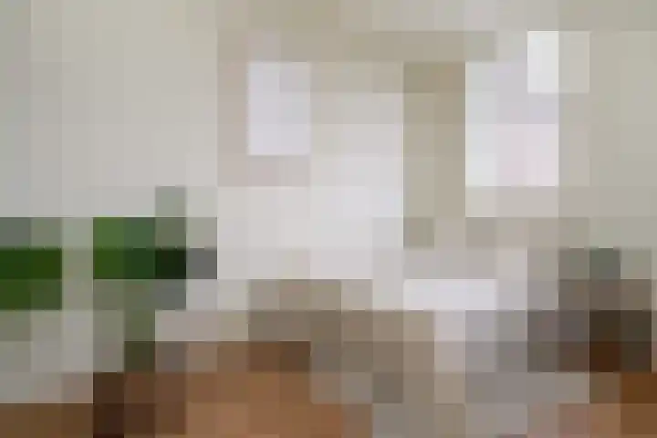 Schiekade 46 A Rotterdam thumbnail 9