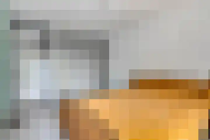 Schiekade 468 Rotterdam thumbnail 12