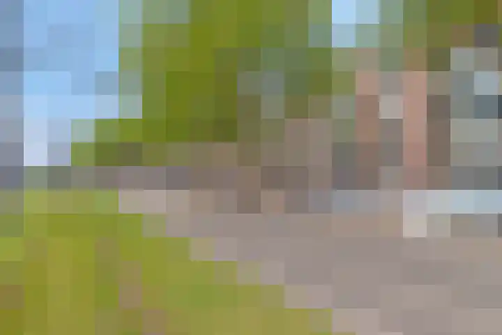 Schiekade 468 Rotterdam thumbnail 7