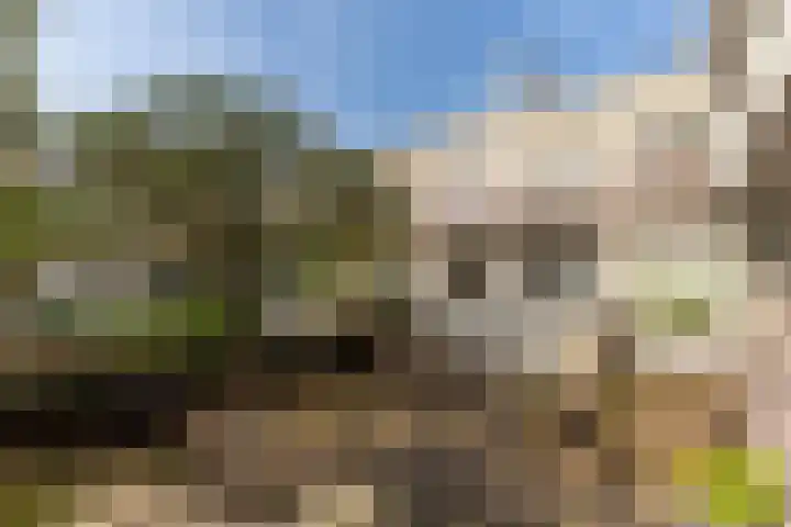 Schiekade 47 K027 Rotterdam thumbnail 11