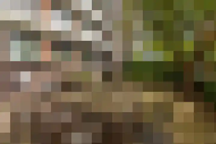 Schiekade 47 K027 Rotterdam thumbnail 13