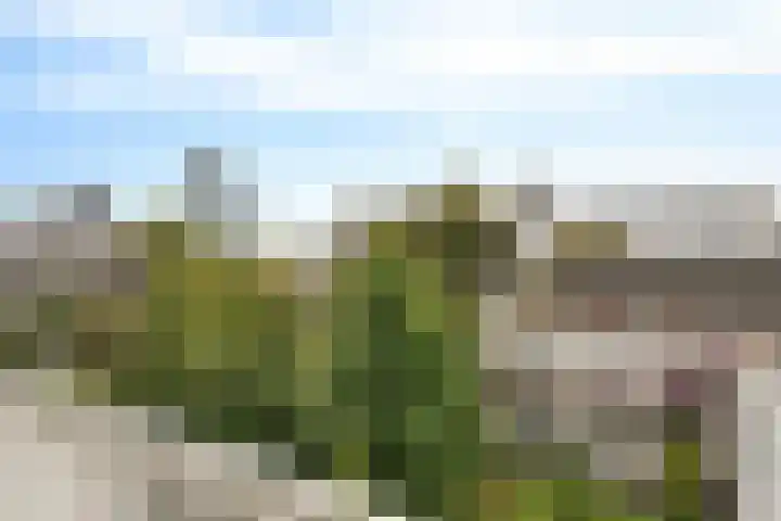 Schiekade 47 K027 Rotterdam thumbnail 31