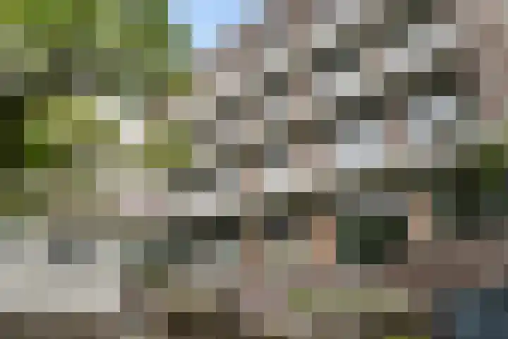 Schiekade 47 K027 Rotterdam thumbnail 35