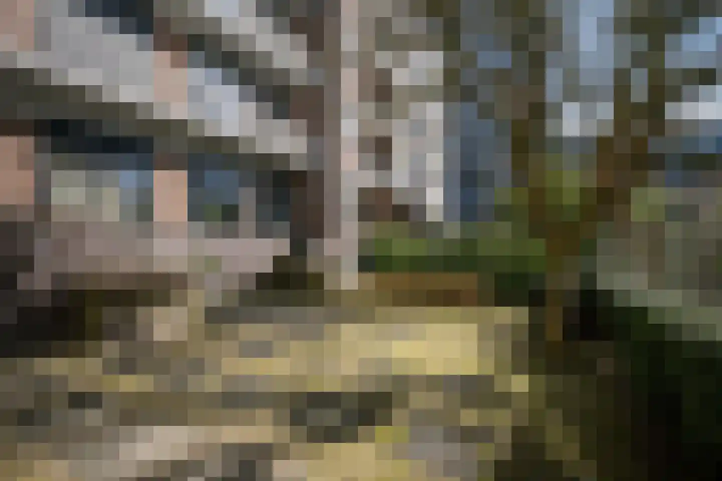 Schiekade 47 K039 Rotterdam thumbnail 29