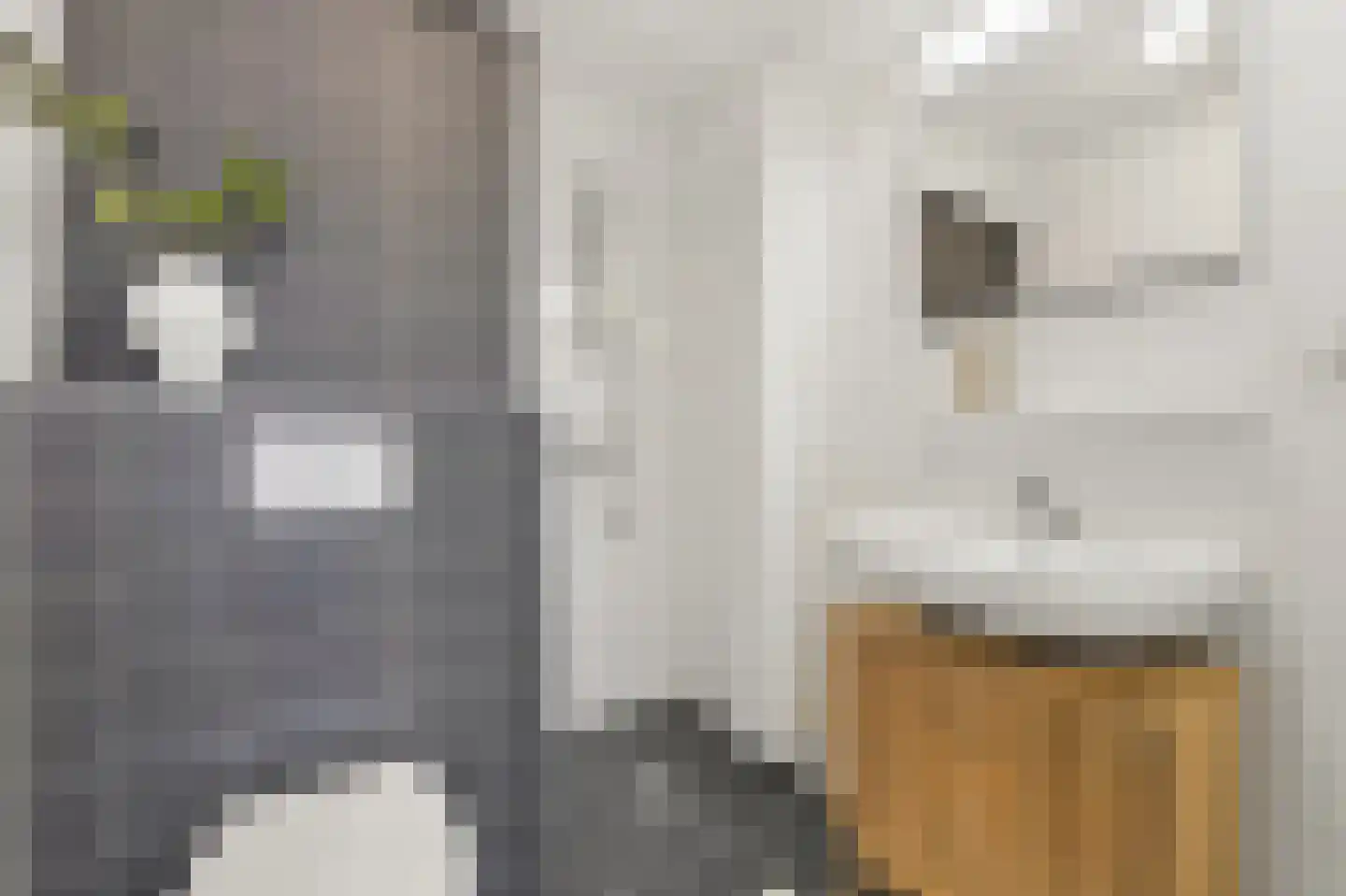 Schiekade 48 D Rotterdam thumbnail 9