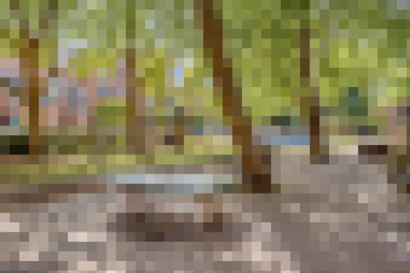 Schiekade 48 E Rotterdam thumbnail 12