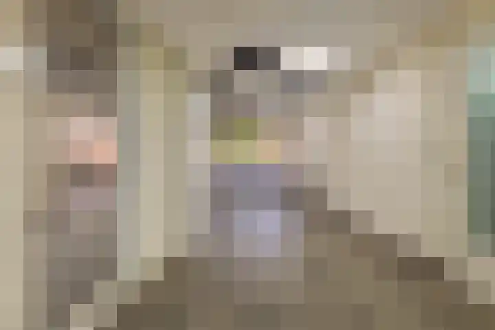 Schiekade 492 Rotterdam thumbnail 10