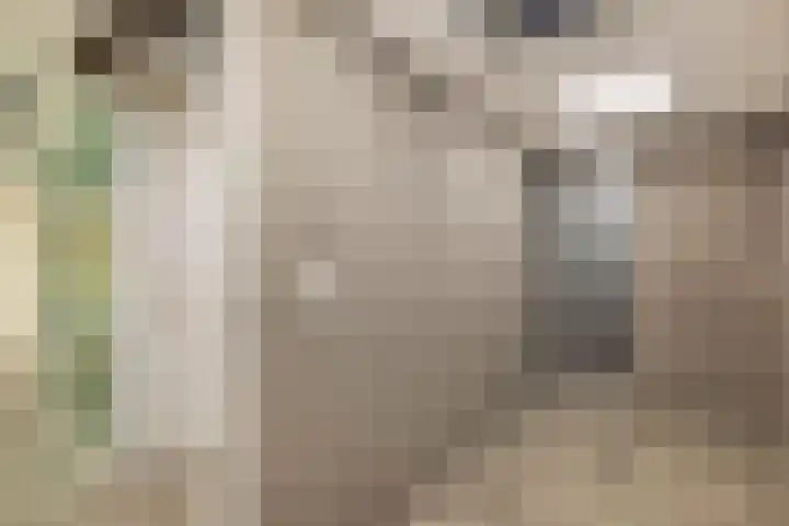 Schiekade 492 Rotterdam thumbnail 13